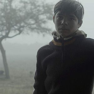 Bilder Was geschah mit Bus 670?