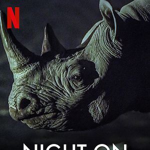 Bilder Die Erde bei Nacht