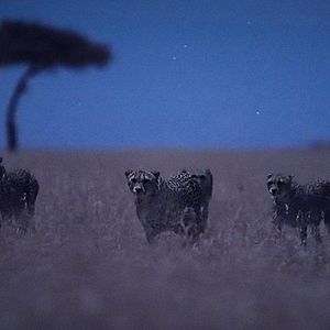 Bilder Die Erde bei Nacht