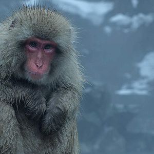 Bilder Die Erde bei Nacht