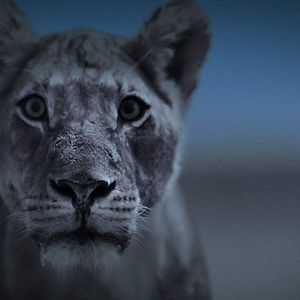 Bilder Die Erde bei Nacht