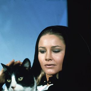 Bilder The Fantastic Journey