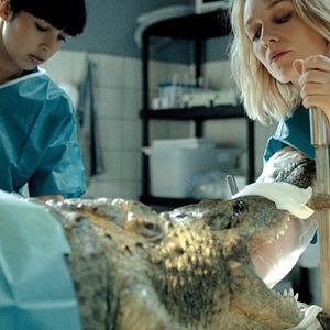 Bilder Prey - Beutejagd