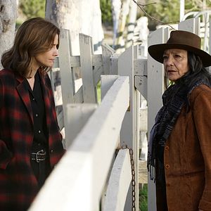 Bilder Cobie Smulders