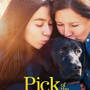 Bilder Hundeleben - Vom Welpen zum Blindenhund