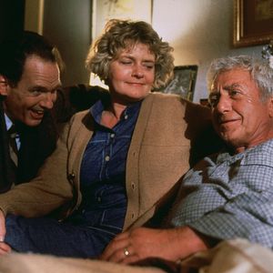 Bilder Unglaubliche Geschichten