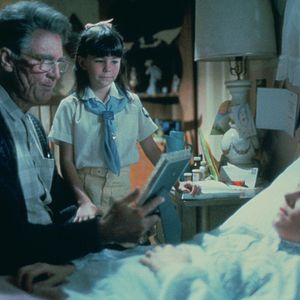 Bilder Unglaubliche Geschichten