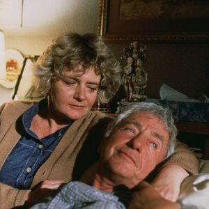 Bilder Unglaubliche Geschichten