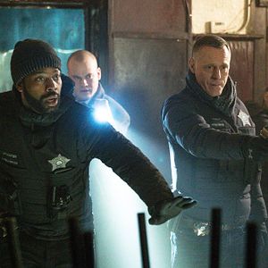 Bilder Stephen Louis Grush