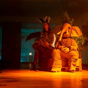 Bilder Blutiger Trip