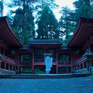 Bilder 3100 Meilen: Laufen für die Seele