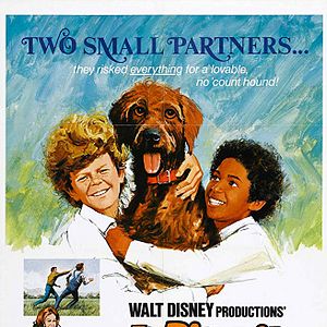 Bilder Die Promenadenmischung