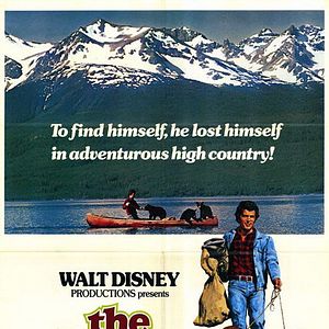 Bilder Meine Bären und ich