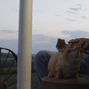 Bilder Big Daddy – Make America Stoned Again