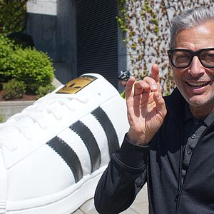 Bilder Jeff Goldblum