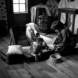 Bilder Barret Oliver