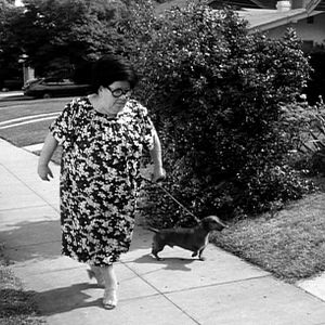 Bilder Frankenweenie