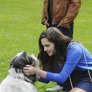 Bilder Beste FReinde