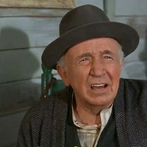 Bilder Walter Brennan