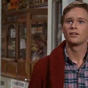 Bilder Brandon De Wilde