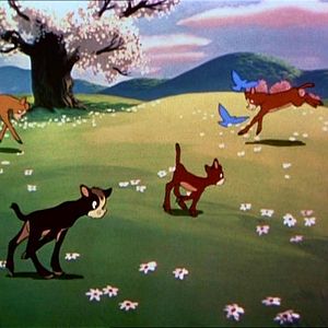 Bilder Fröhlich, Frei, Spaß dabei