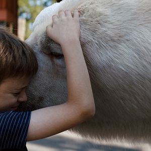 Bilder Winslow Fegley