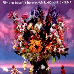 Bilder Der Blumenstrauss