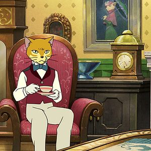 Bilder Das Königreich der Katzen