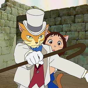 Bilder Das Königreich der Katzen