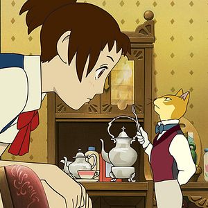 Bilder Das Königreich der Katzen