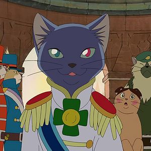 Bilder Das Königreich der Katzen