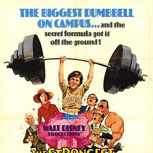 Bilder Der stärkste Mann der Welt