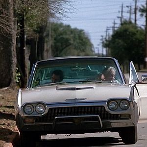 Bilder Dream a Little Dream