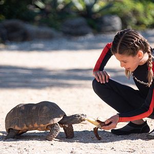 Bilder Bernie, der Delfin 2 - Ein Sommer voller Abenteuer
