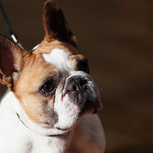 Bilder Modern Family