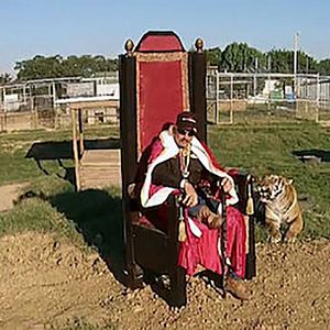 Bilder Tiger King