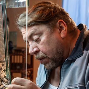 Bilder Werkstatthelden mit Herz