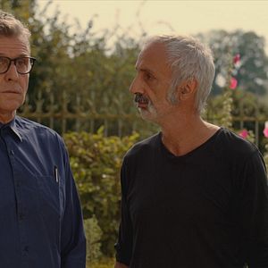 Bilder Le Cygne Des Héros