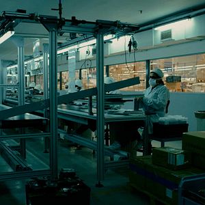 Bilder El Auge del Humano