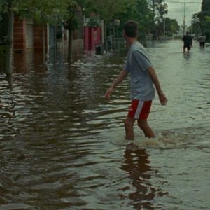 Bilder El Auge del Humano