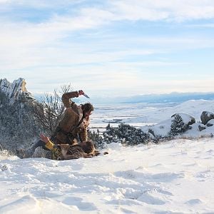 Bilder Any Bullet Will Do - Um Gnade muss man flehen