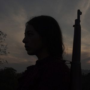 Bilder Der Gesang der Fliegen