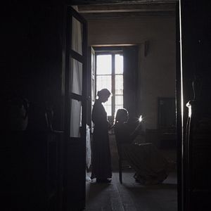 Bilder Der Gesang der Fliegen