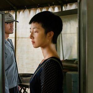 Bilder Der See der wilden Gänse