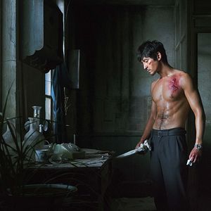 Bilder Der See der wilden Gänse