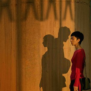 Bilder Der See der wilden Gänse