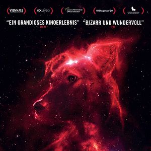 Bilder Space Dogs