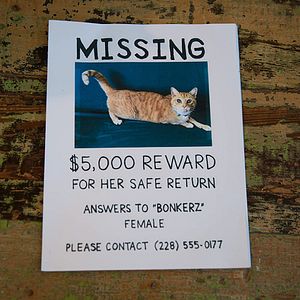 Bilder One Mississippi