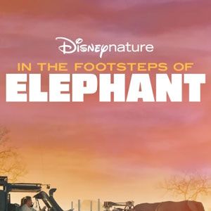 Bilder In the Footsteps of Elephant