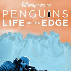 Bilder Pinguine: Leben am Limit